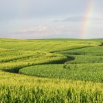 Colombia: Sector agrario el que más se queja del e IVA