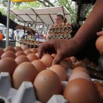 Venezuela: Cartón de huevos superó los dos salarios mínimos