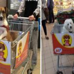 El primer supermercado «pet friendly»